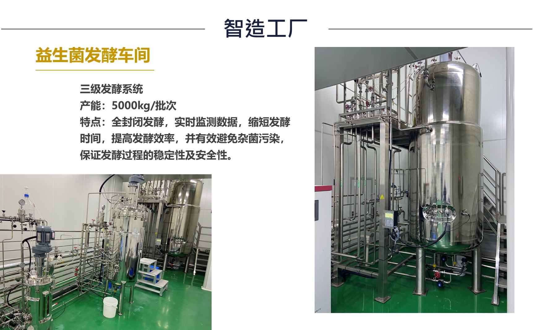 益生菌发酵