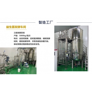 益生菌发酵车间
